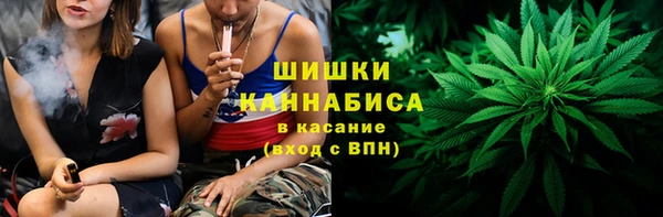 шишки Заволжье