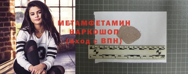 шишки Заволжье