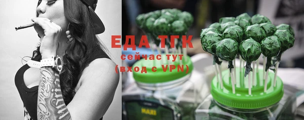 шишки Заволжье