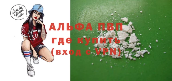 шишки Заволжье