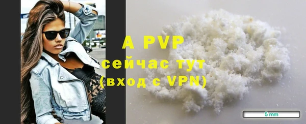 шишки Заволжье