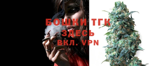 шишки Заволжье