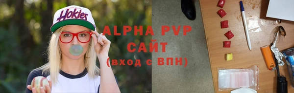 шишки Заволжье