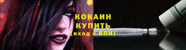 шишки Заволжье
