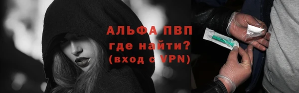 шишки Заволжье