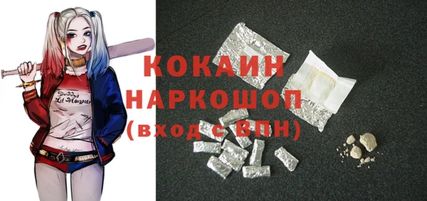 шишки Заволжье