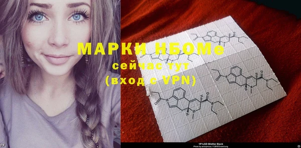 шишки Заволжье