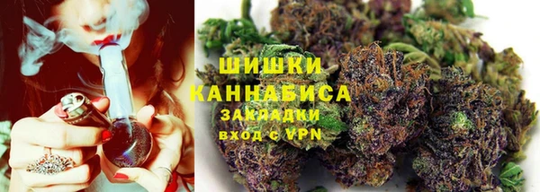сатива Заволжск