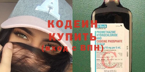 шишки Заволжье