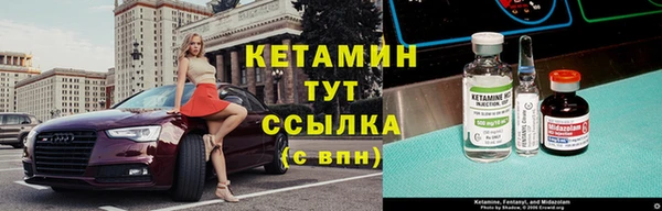 шишки Заволжье