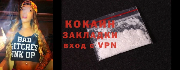 шишки Заволжье
