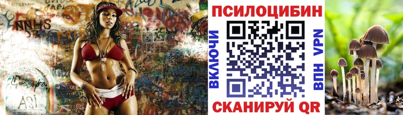 Купить  Юрьевец  Галлюциногенные грибы Cubensis 